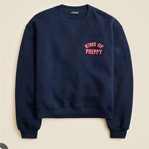 J. Crew Navy and Red Crewneck Sweater